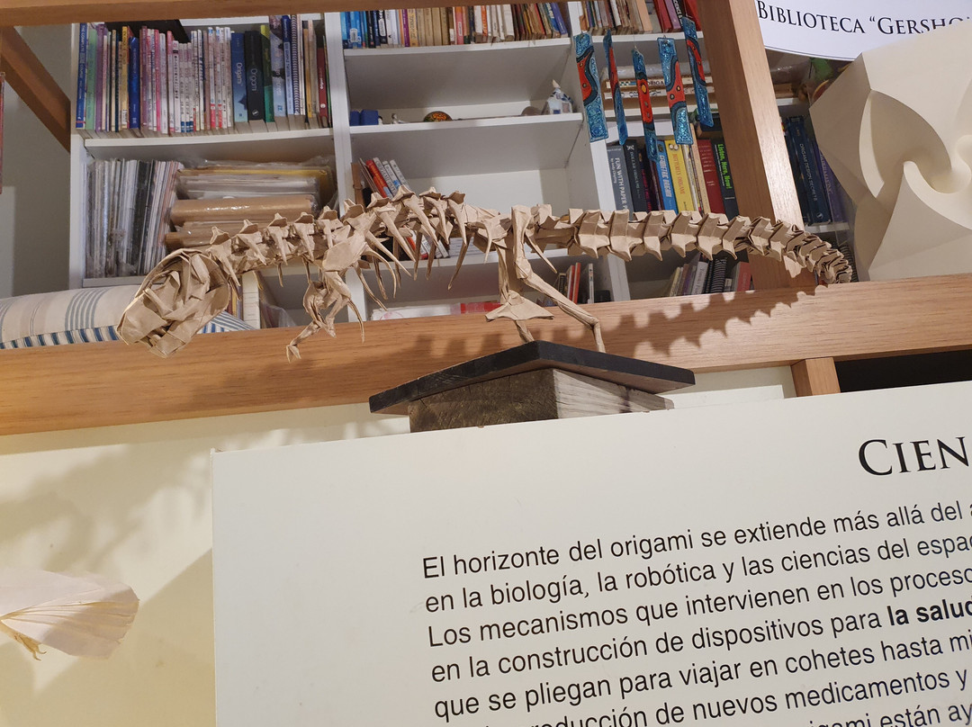 Museo del Origami-科洛尼亚·德尔萨克拉门托城必去景点