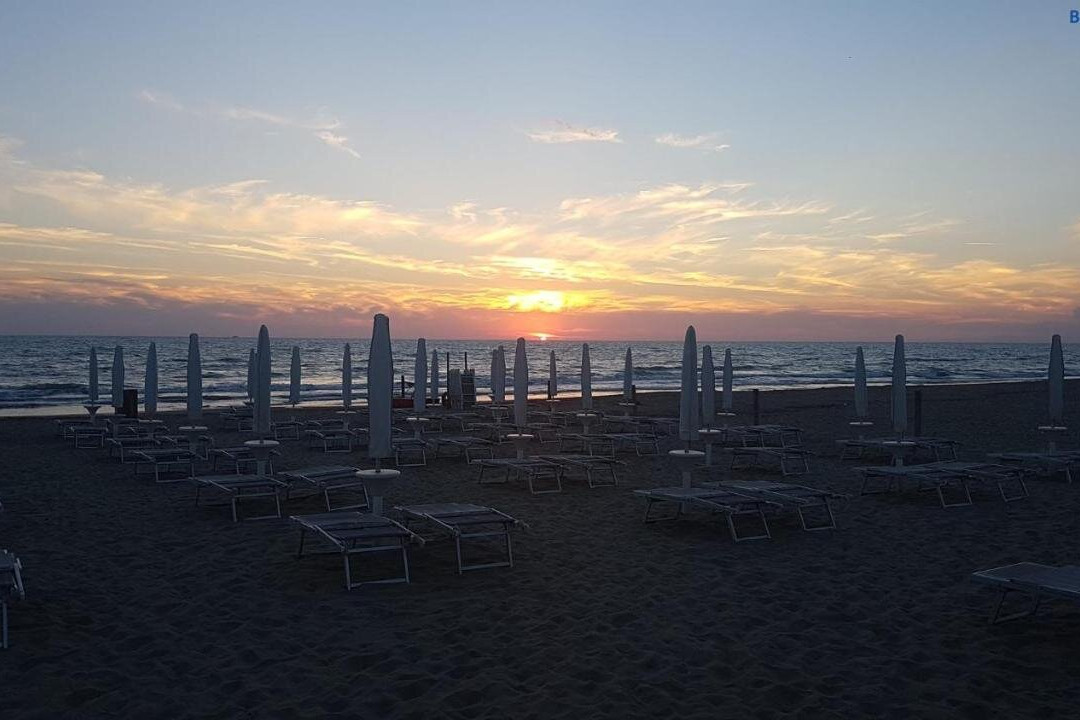 Oasy Apartament