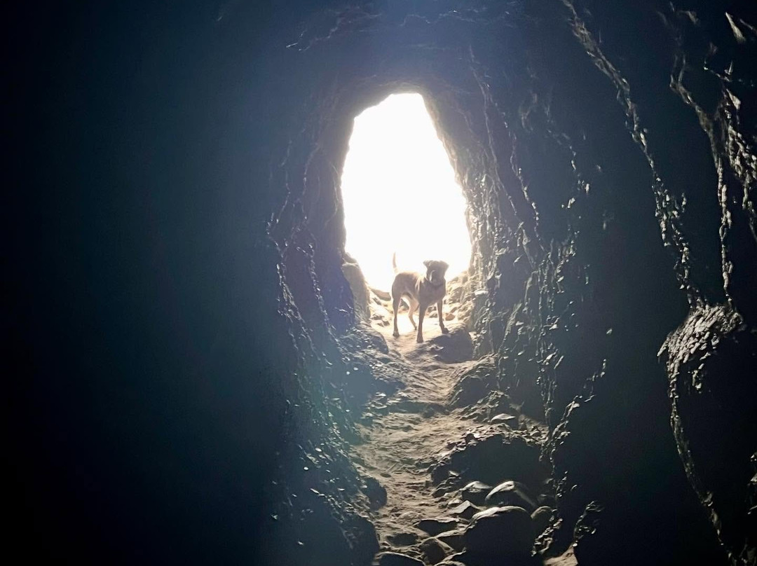 Oceanside Beach State Recreation Site-Oceanside必去景点