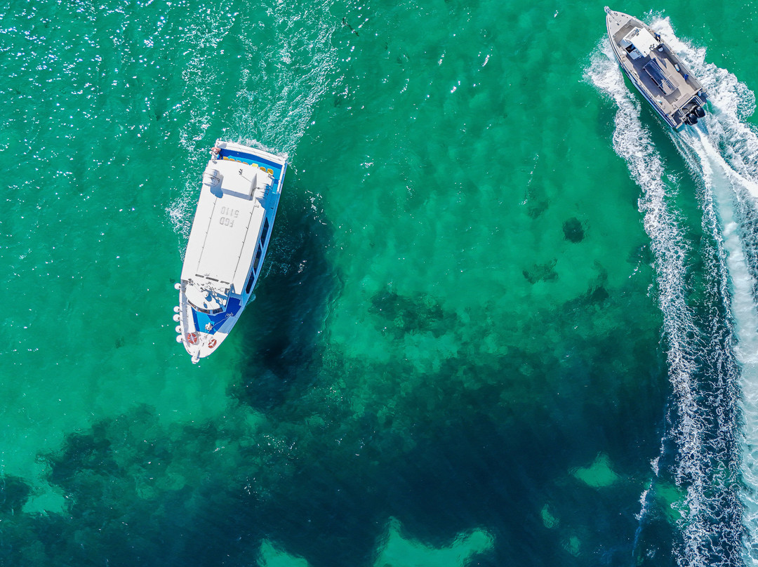 Vedettes des Abers-Landeda必去景点