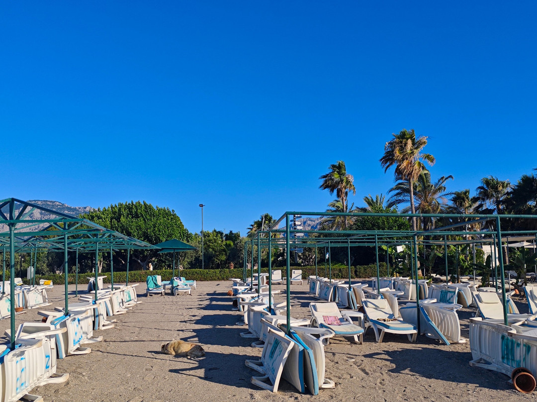 Zena Resort Hotel主图