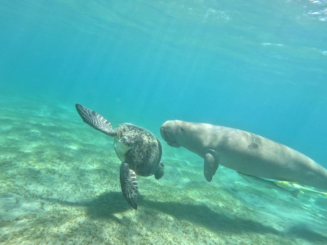 Ohana Dive Co.-纳什维尔必去景点