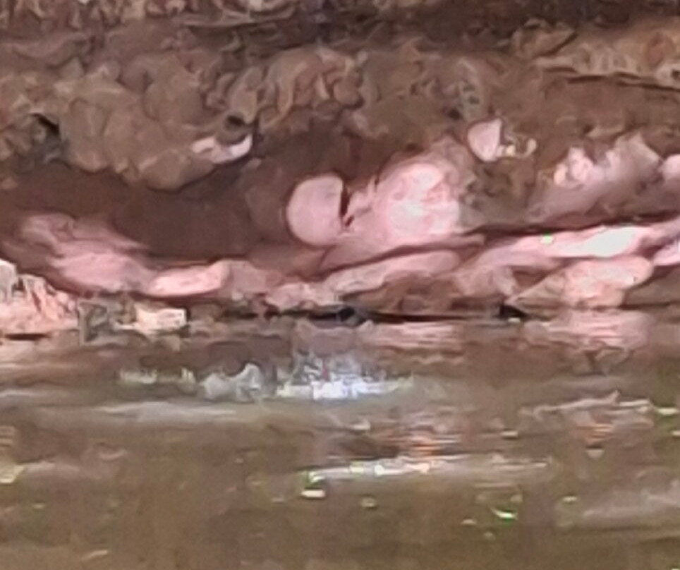 Cascade de Gourbachin-Bagnols-en-Foret必去景点