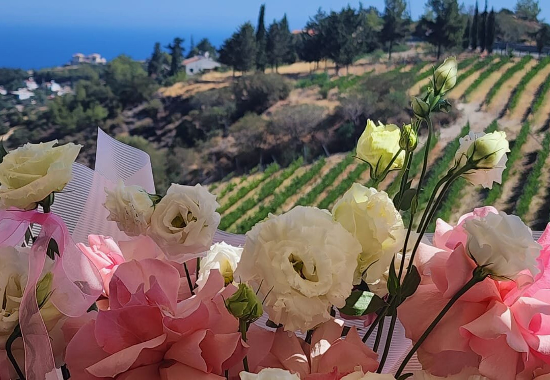 Gillham Vineyard Hotel主图