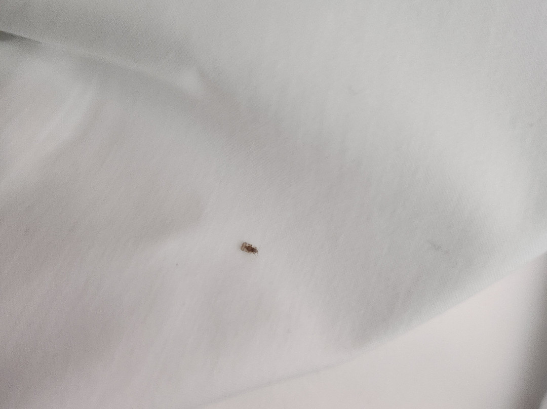 Residence Inn by Marriott Alexandria Old Town South at Carlyle主图