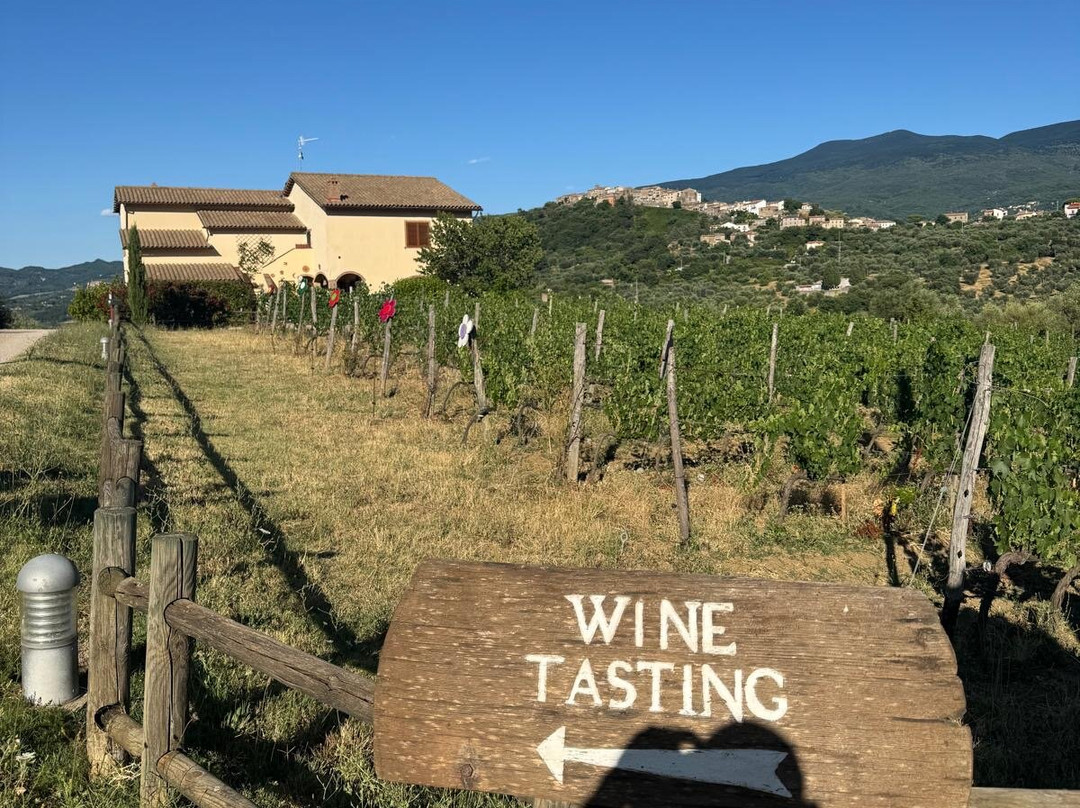 Amiata I Vini Del Vulcano-Castel Del Piano必去景点