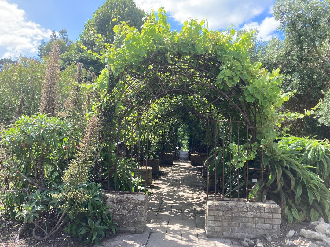 Ventnor Botanic Garden-文特诺必去景点