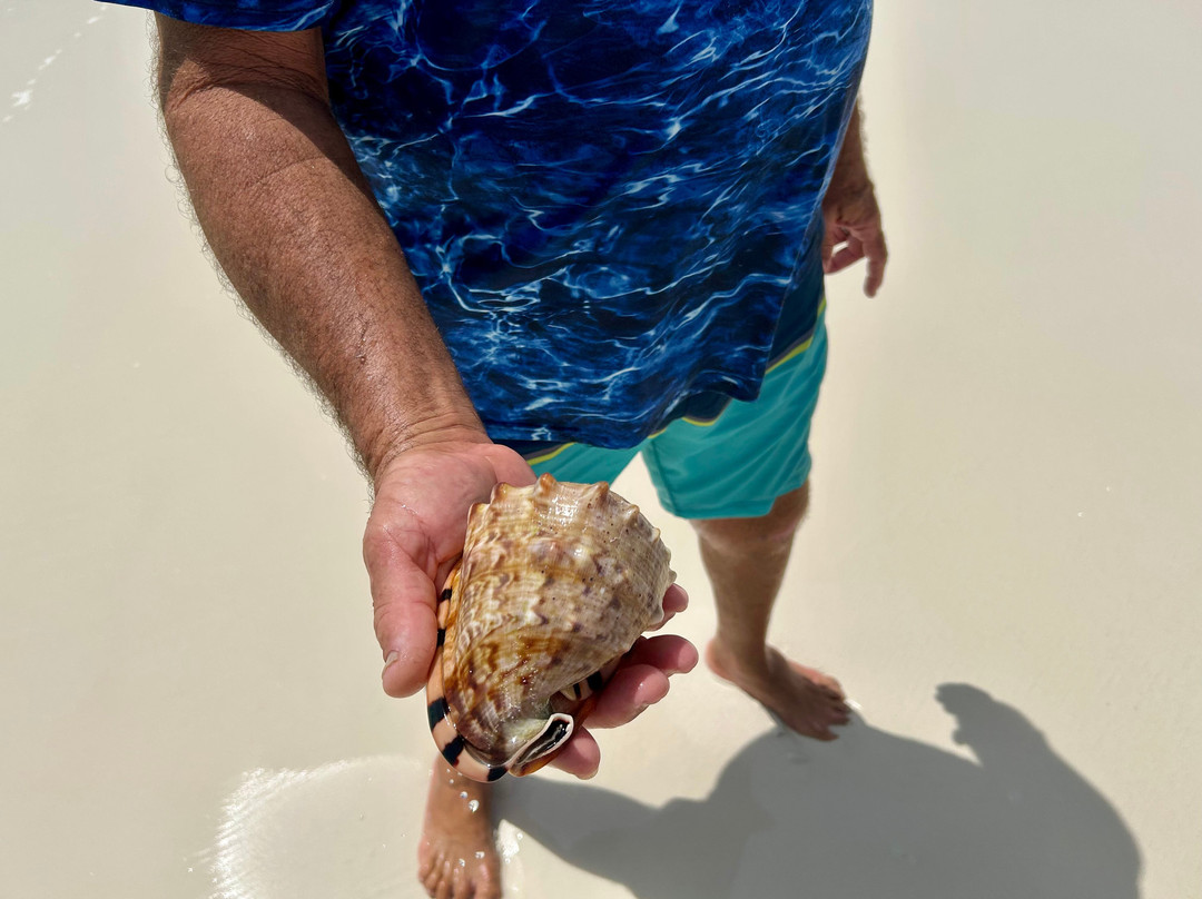 G. Sea Adventures-George Town必去景点