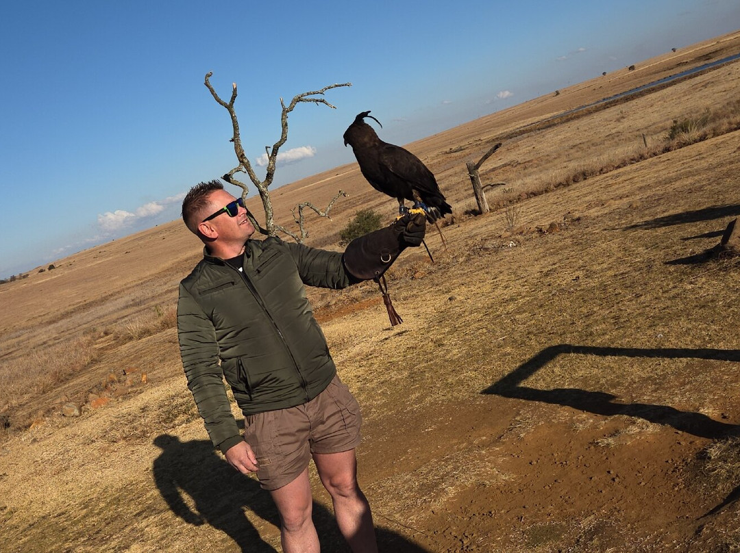 Dullstroom Bird of Prey & Rehabilitation Centre-德尔斯特鲁姆必去景点
