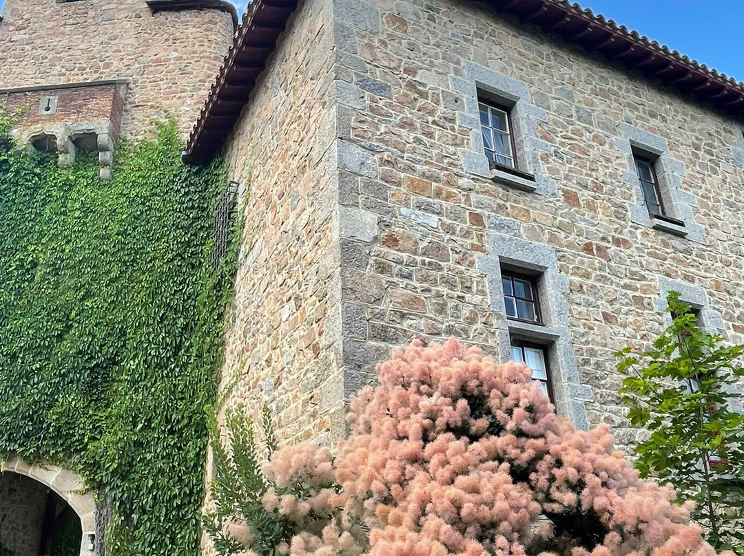 Le Château de Chamousset-Saint-Laurent-de-Chamousset必去景点