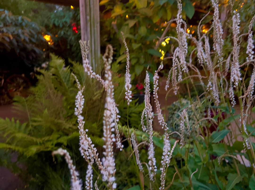 McMenamins Anderson School Hotel主图