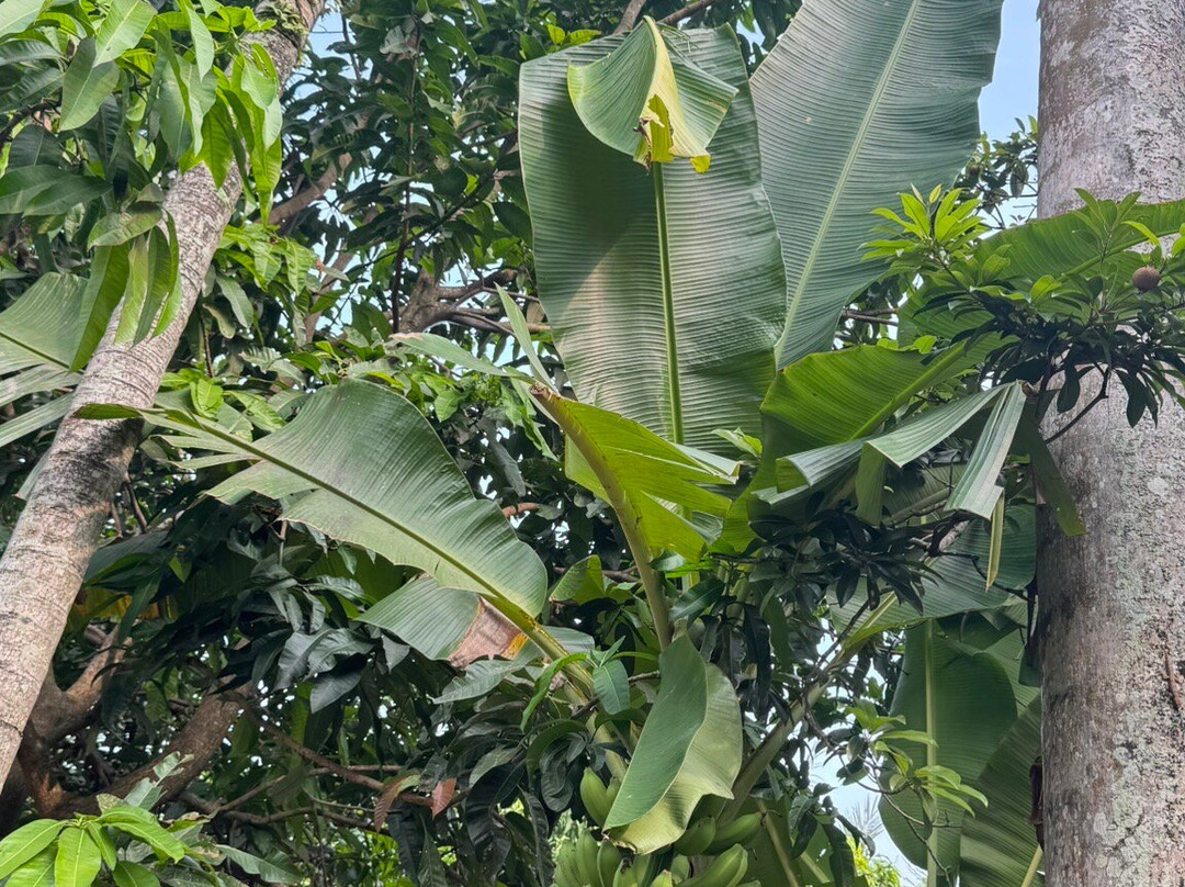 Karang Hawu Beach-苏加武眉必去景点