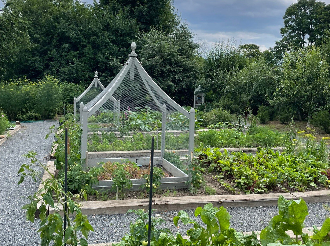 Kamieniec Palace Hotel主图