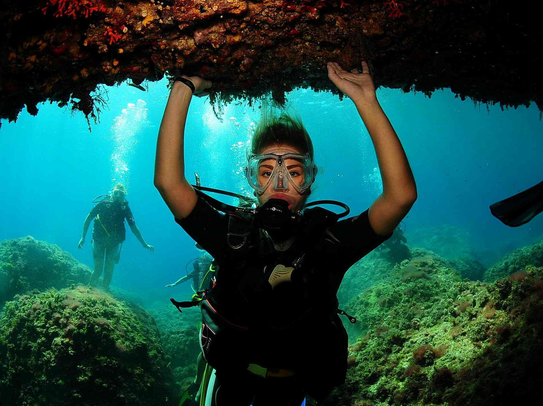 Arenal Diving-圣安东尼德波特曼尼必去景点