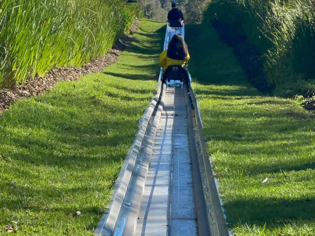 Cool Runnings-Bellville必去景点