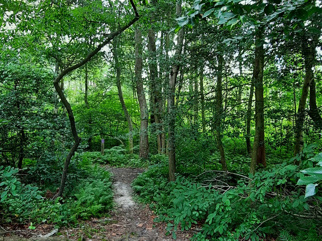 Pemberton Historical Park-索尔兹伯里必去景点