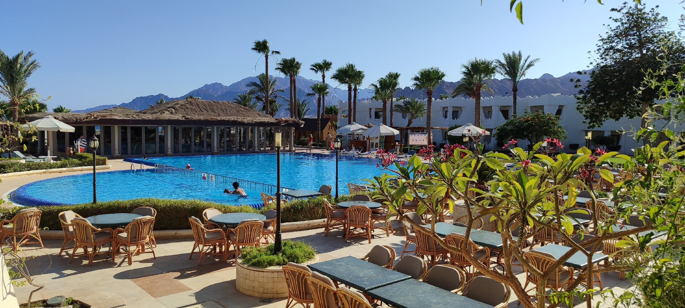 Swiss Inn Resort Dahab-官方