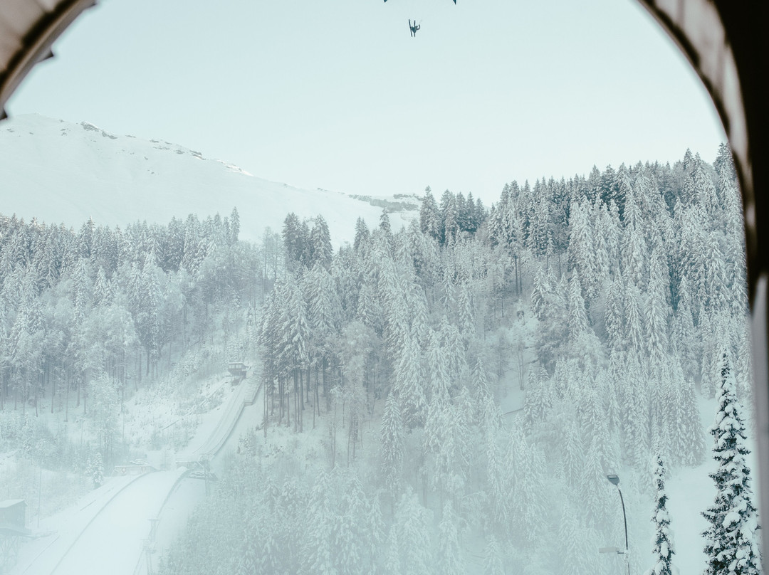 Ski Lodge Engelberg主图