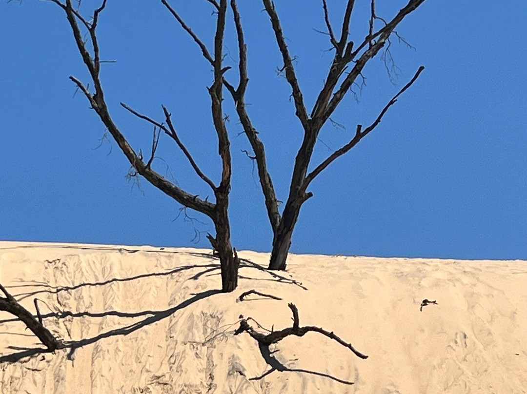 Mt. Baldy-密歇根城必去景点