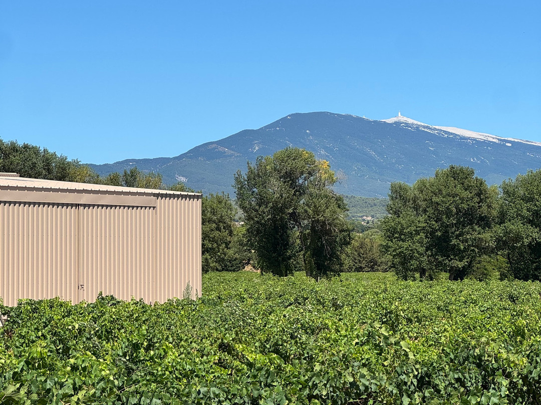 Domaine Vintur-卡庞特拉必去景点