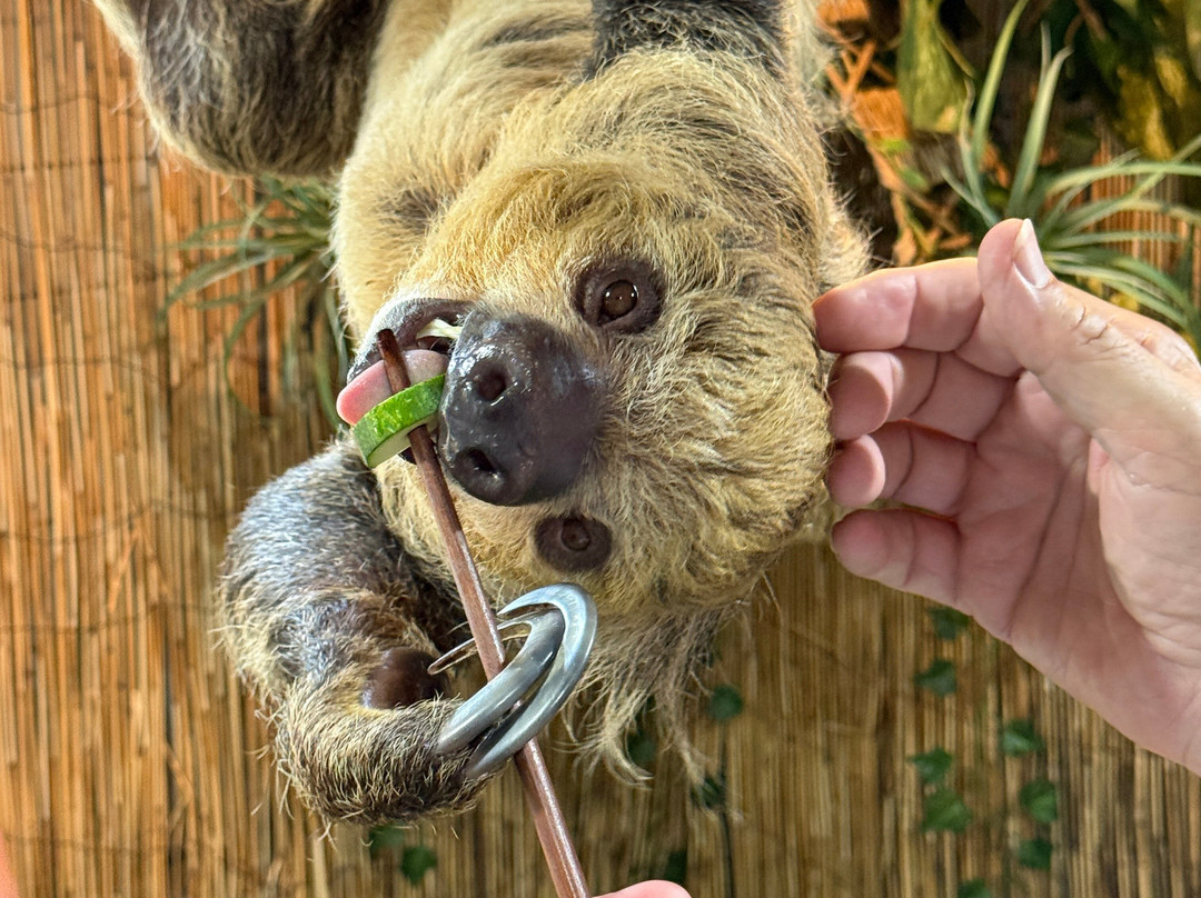 North Florida Wildlife Center-Lamont必去景点