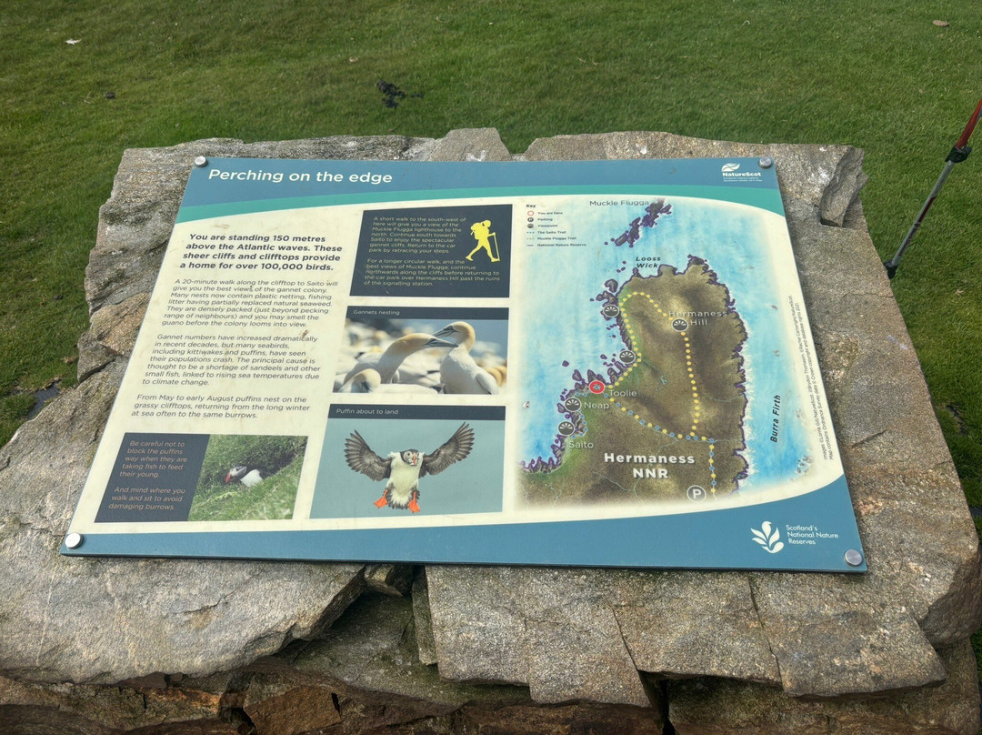 Hermaness National Nature Reserve-Unst必去景点