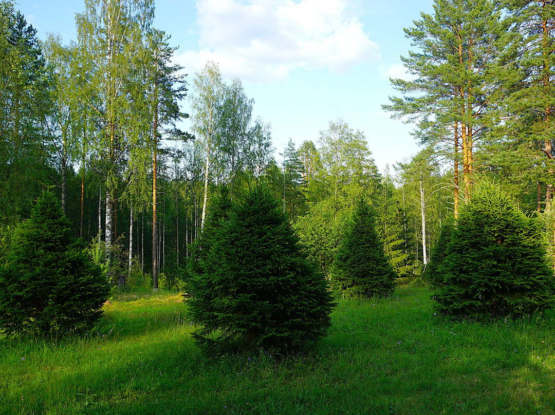 Arboretum Möhkö-Ilomantsi必去景点