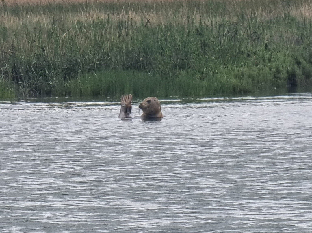 Discovery Seal Trips-Rochford必去景点