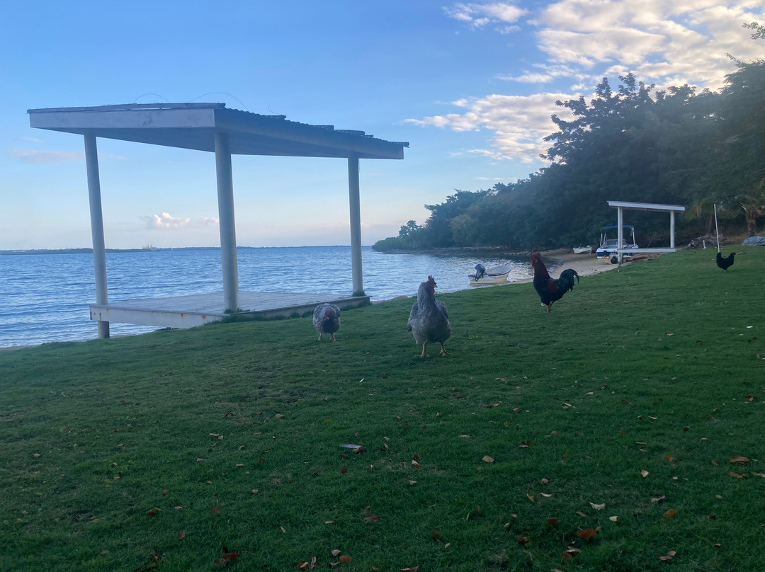 Belo Vula Resort主图