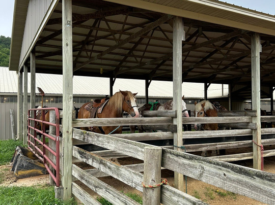 Shenandoah Riding Center-加利纳必去景点