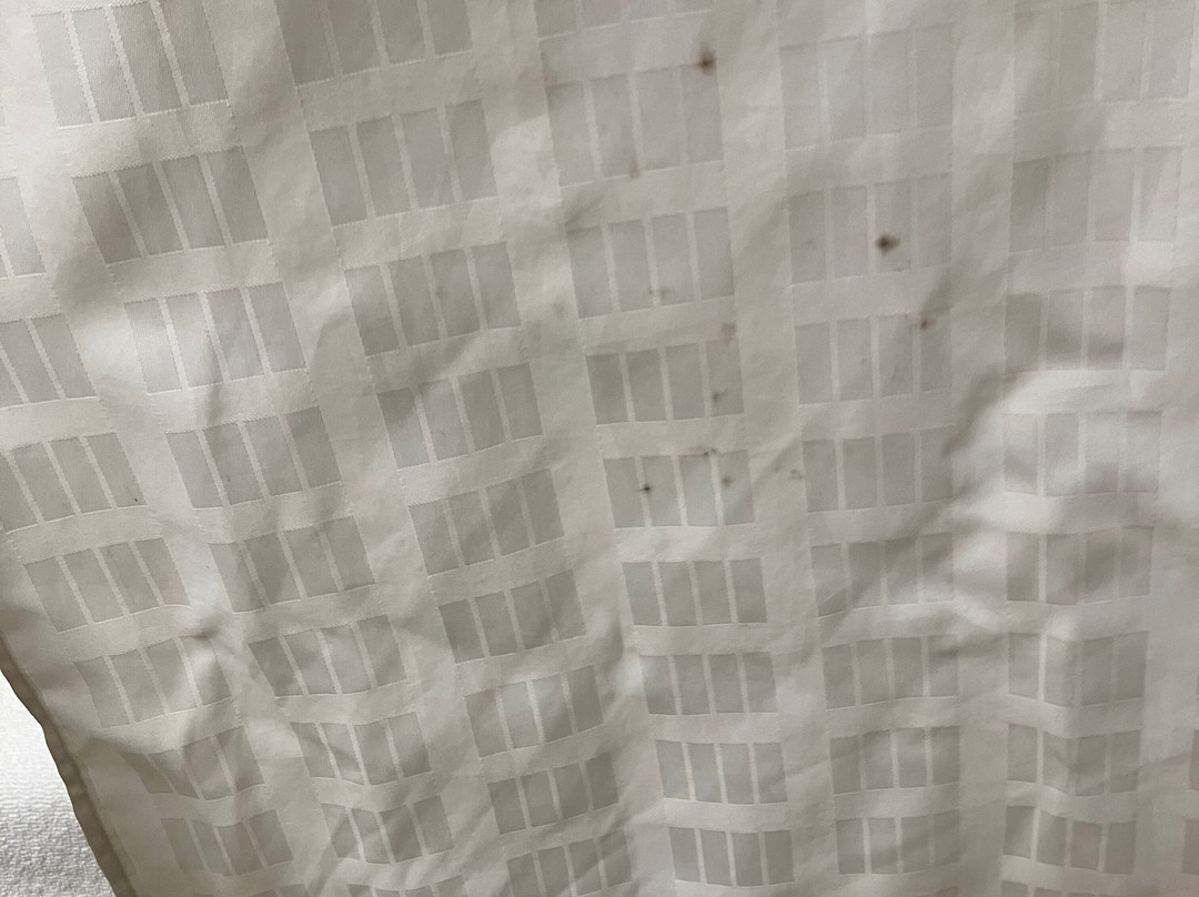 Microtel Inn & Suites by Wyndham Hazelton/Bruceton Mills主图