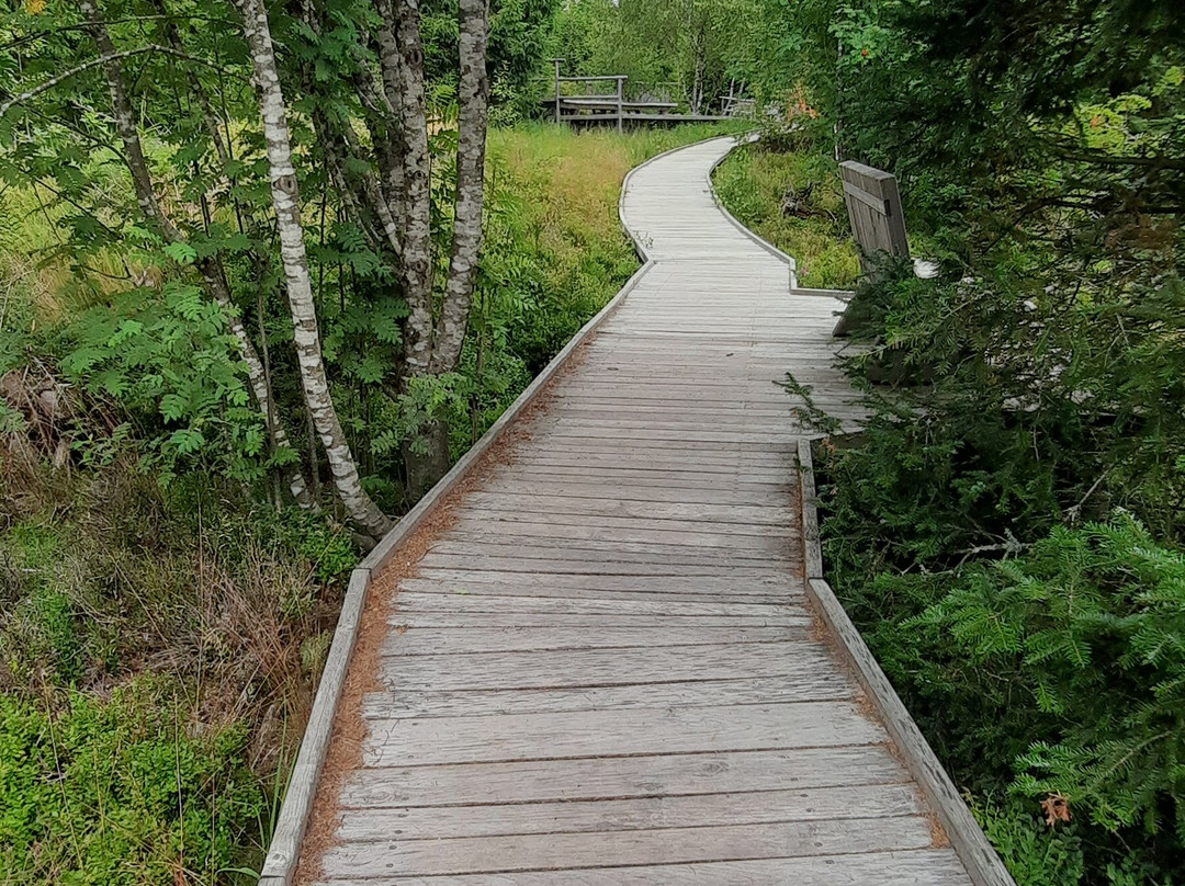 Lotharpfad-拜尔斯布龙必去景点