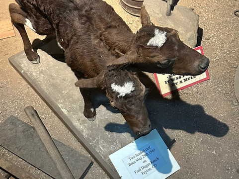 Ghost Town Museum-科罗拉多斯普林斯必去景点