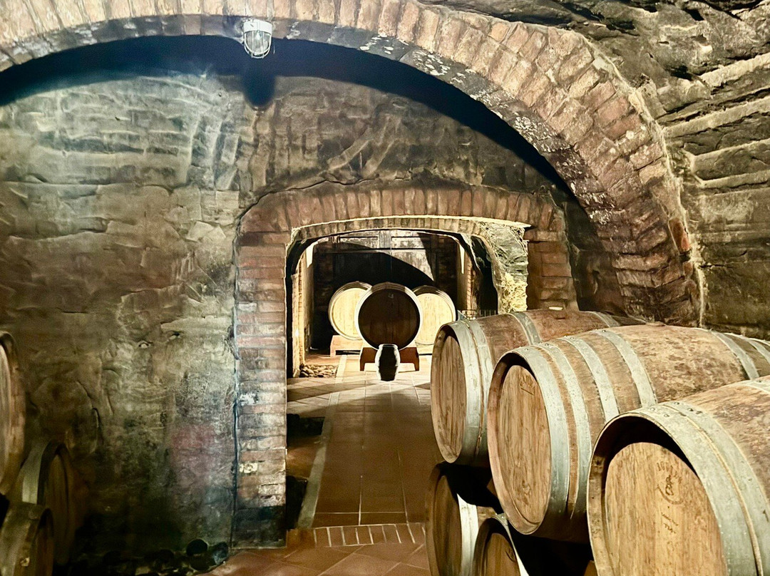 Colle Santa Mustiola-丘西必去景点