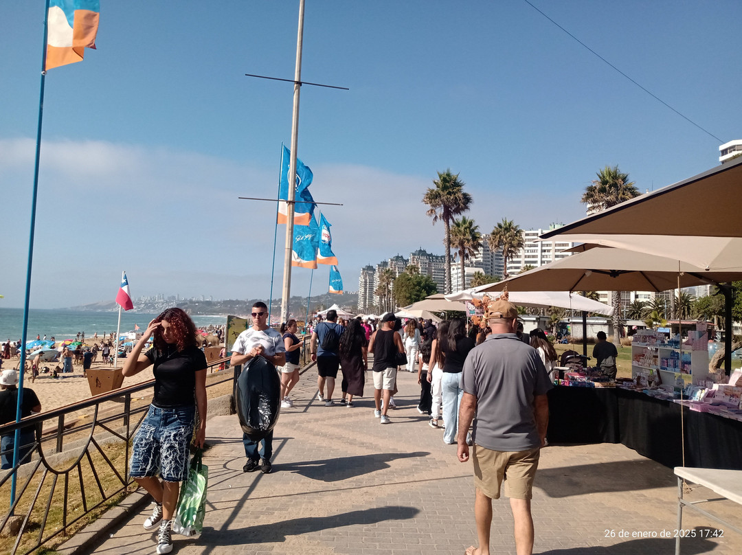 Costanera-比尼亚德尔马必去景点