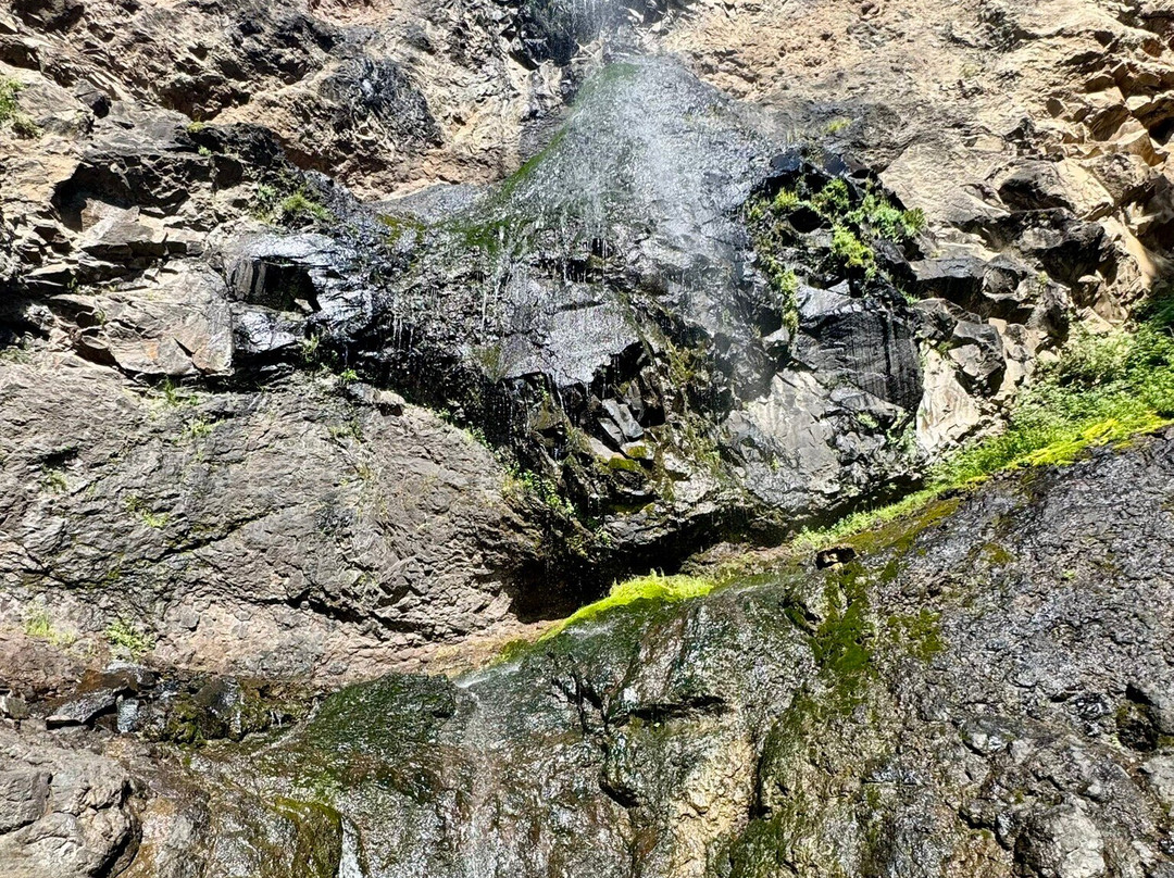 Treasure Falls-帕戈萨斯普林斯必去景点