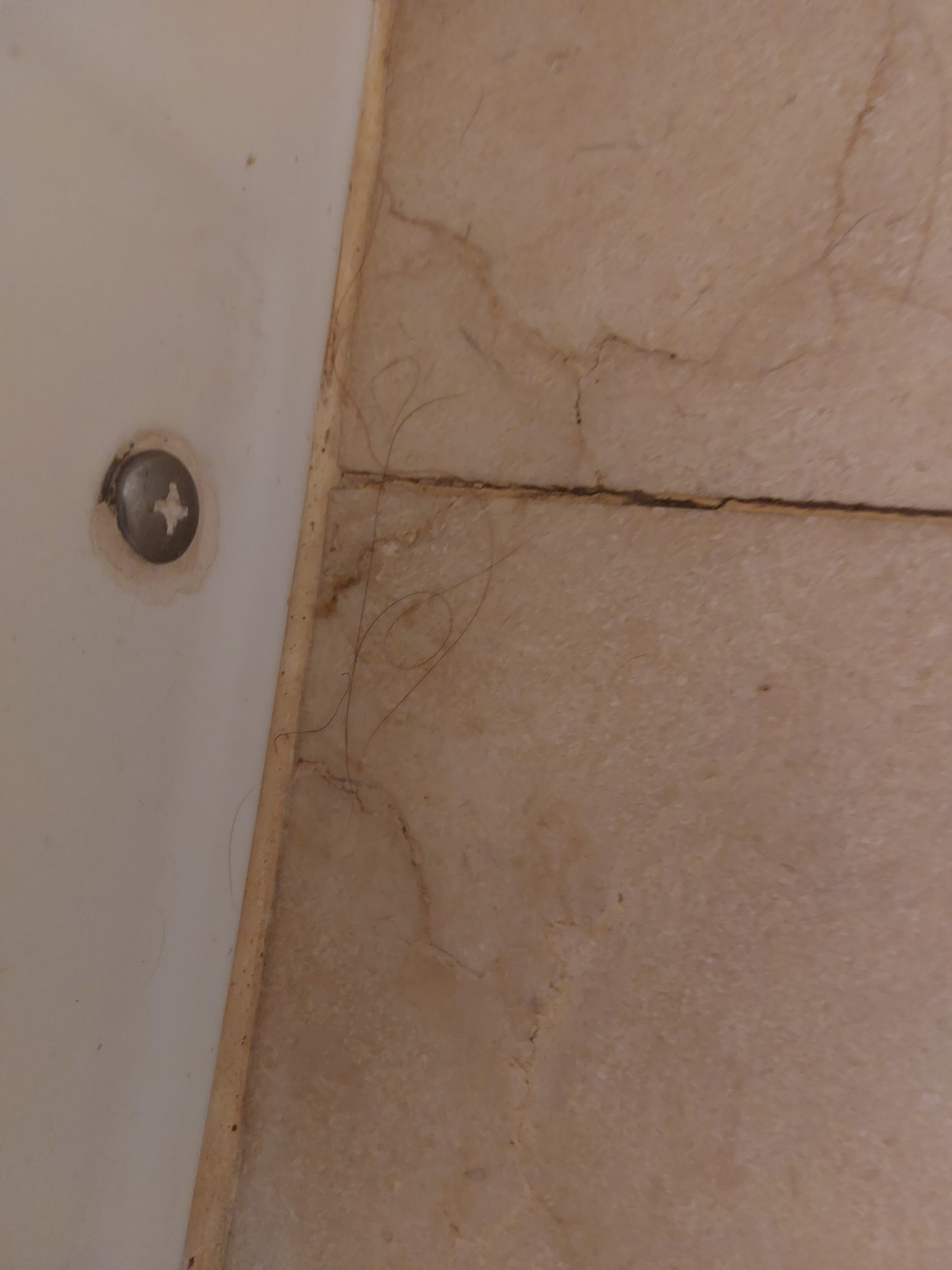 Balneario de Archena - Hotel Levante-官方