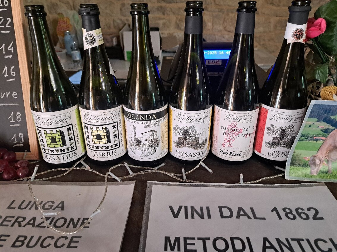 Contignaco Castle-萨尔索马焦雷泰尔梅必去景点