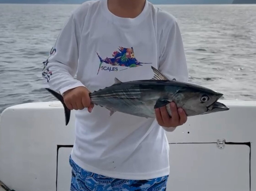 Papagayo Quest-Culebra必去景点