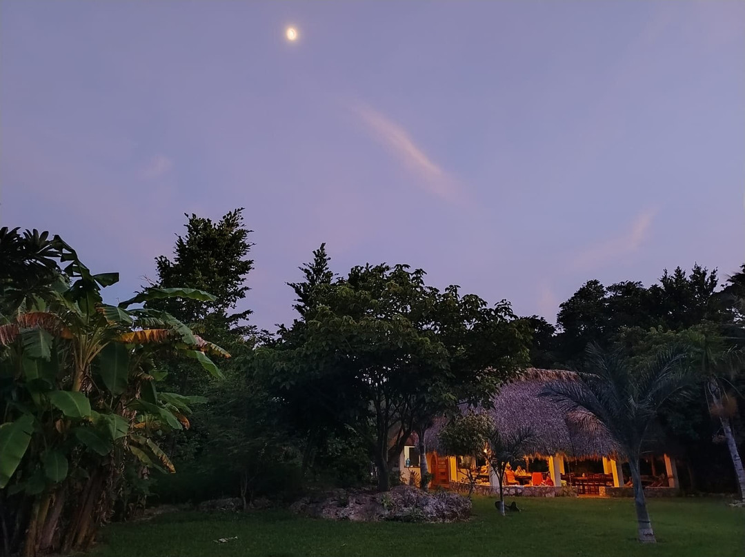 Cenote La Casa De Los Pájaros