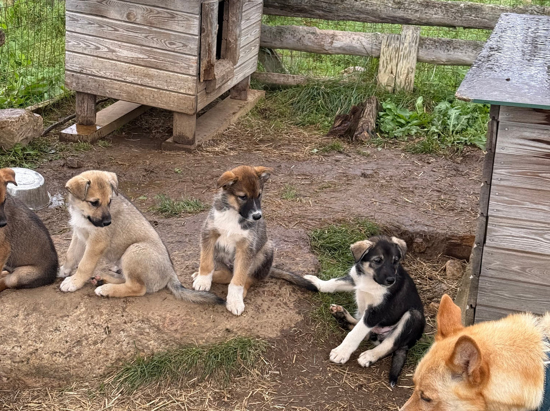 Ilonka Farm & Cafe-伊瓦洛必去景点