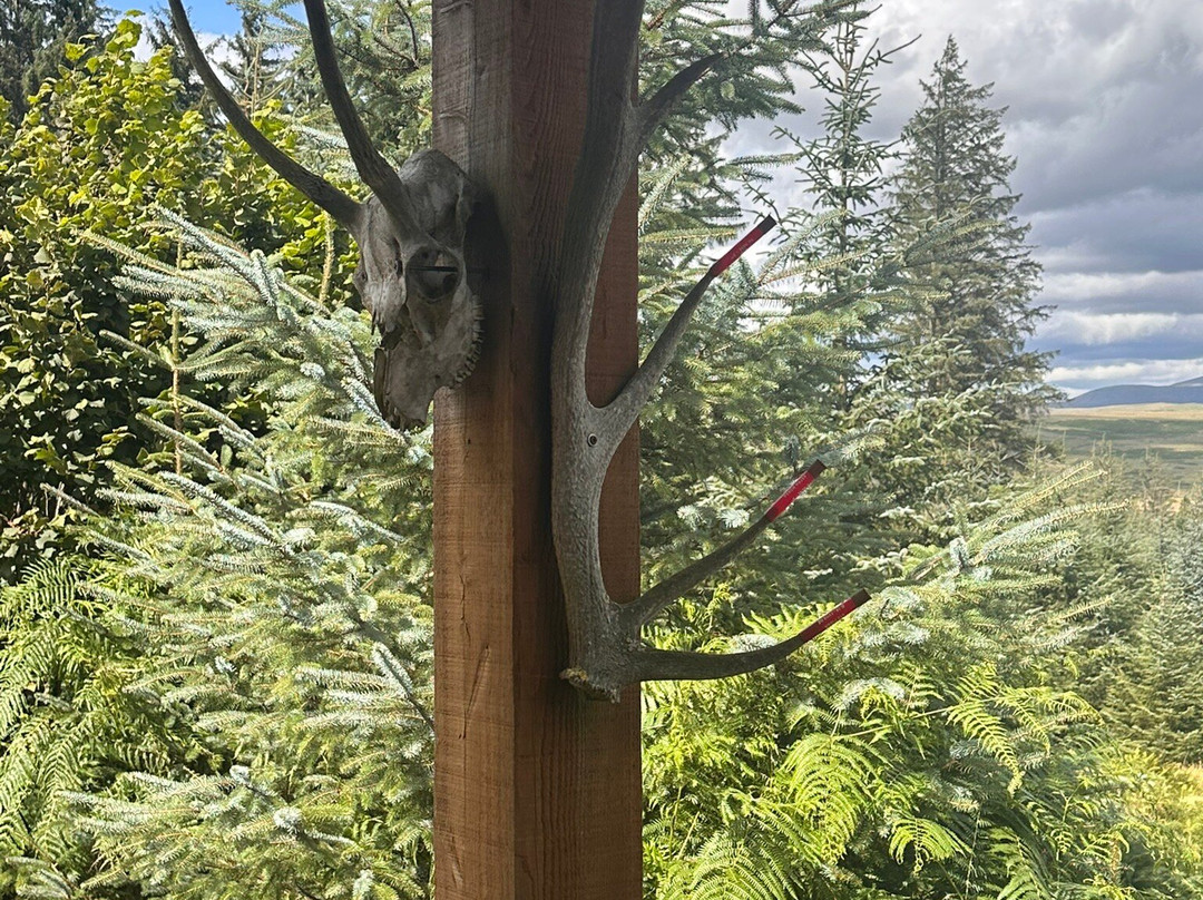 Forrest Estate Experiences-Castle Douglas必去景点