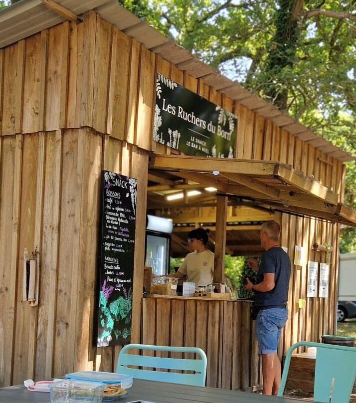 Les Ruchers du Born-Pontenx-les-Forges必去景点