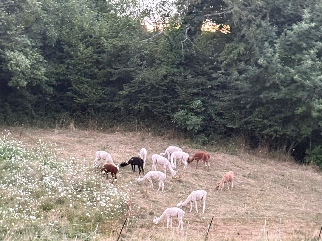 Gästehaus Kaltenbach主图