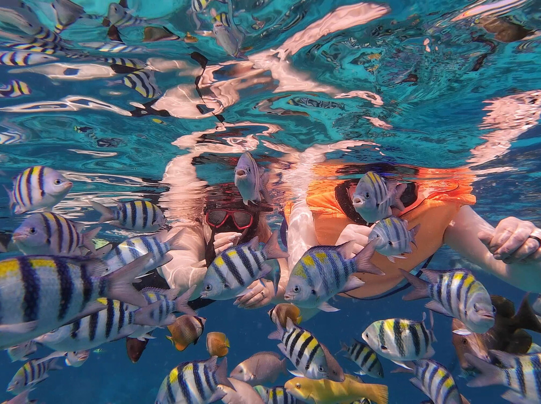 Jhony Gili & Lombok Tours-Gili Air必去景点