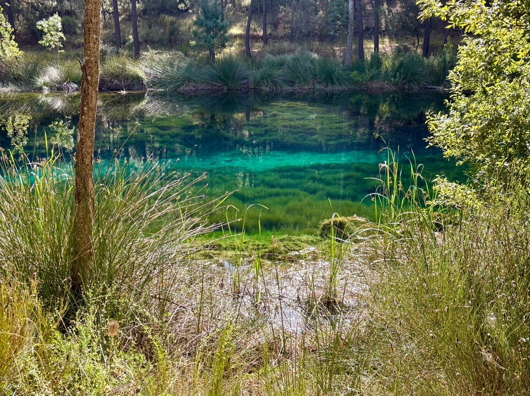 Nacimiento de Rio Frio-Dehesa de Santiago必去景点