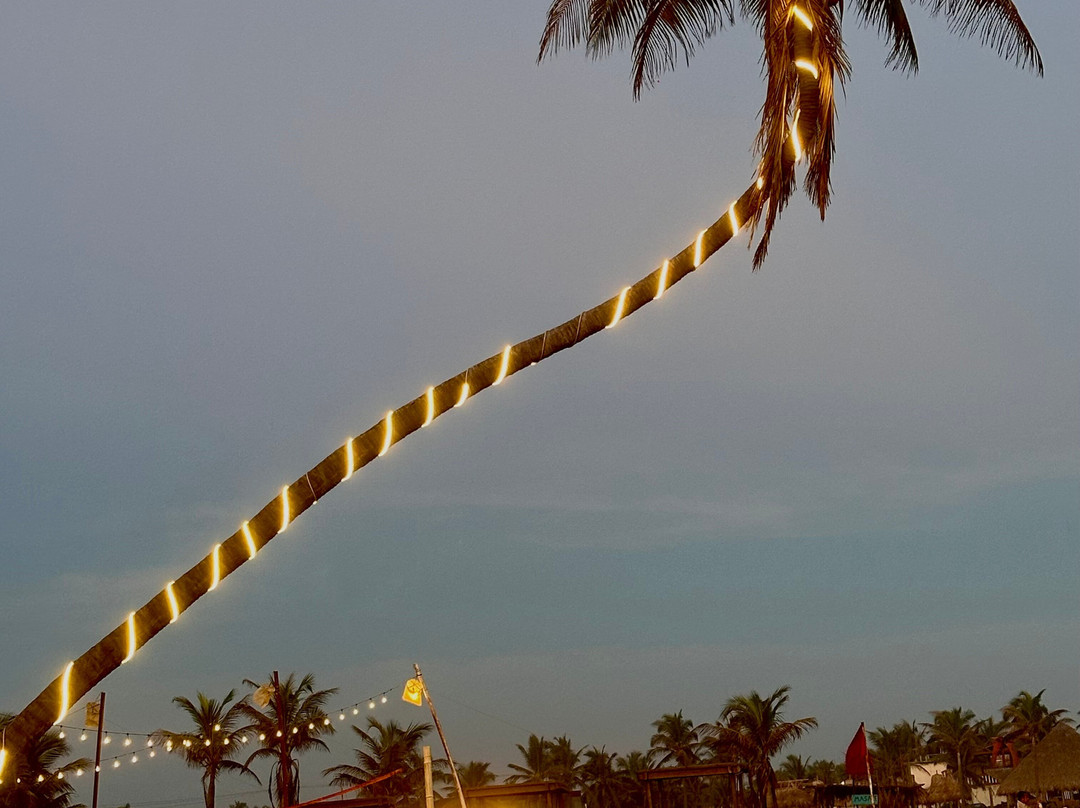 Mishol Weddings & Events Hotel & Beach Club主图