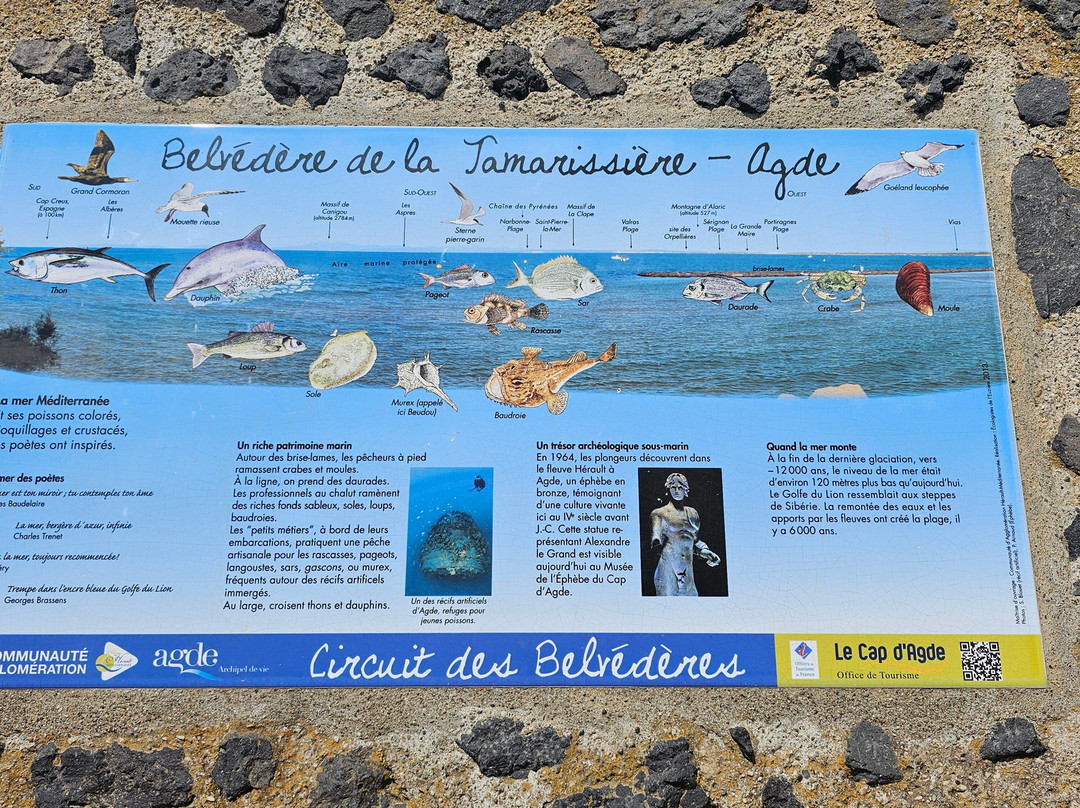 Plage de la Tamarisiere-Le Grau d'Agde必去景点