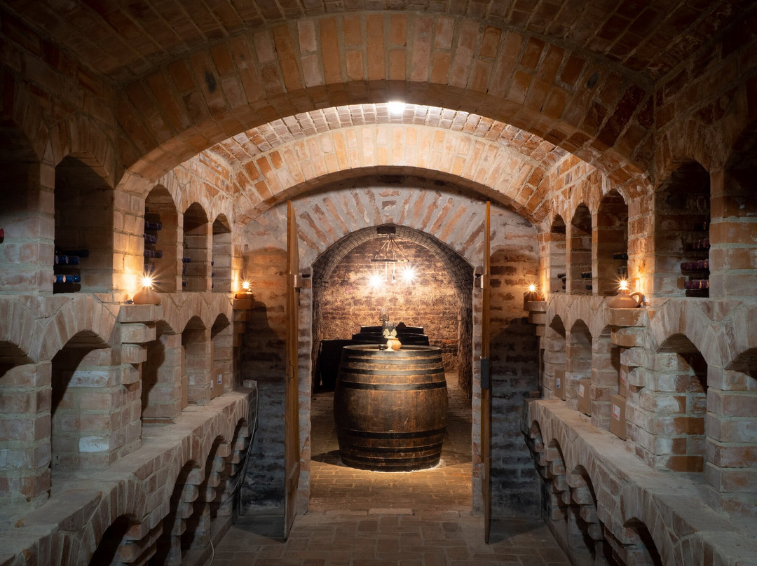 Palkonya餐馆和美食-Sárga Ház Borgerező & Bisztró