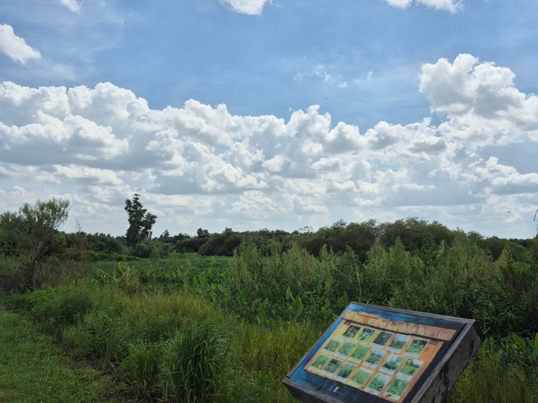 Circle B Bar Reserve-莱克兰必去景点